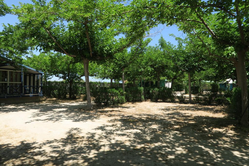Camping Azul Oliva Eksteriør billede